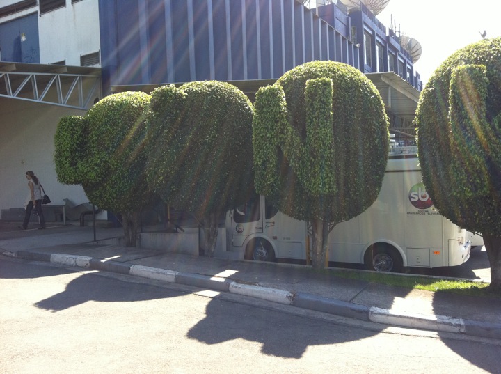 Blog post image