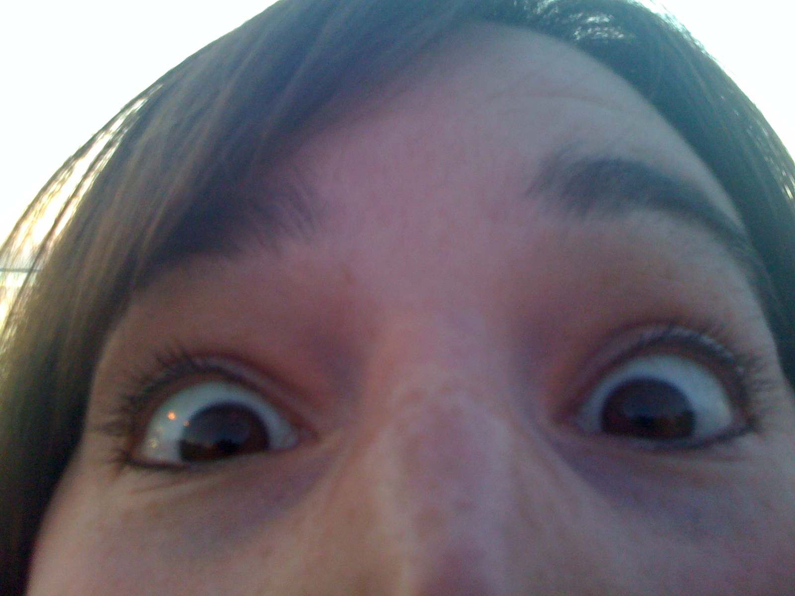 Rebecca Nail Virginia